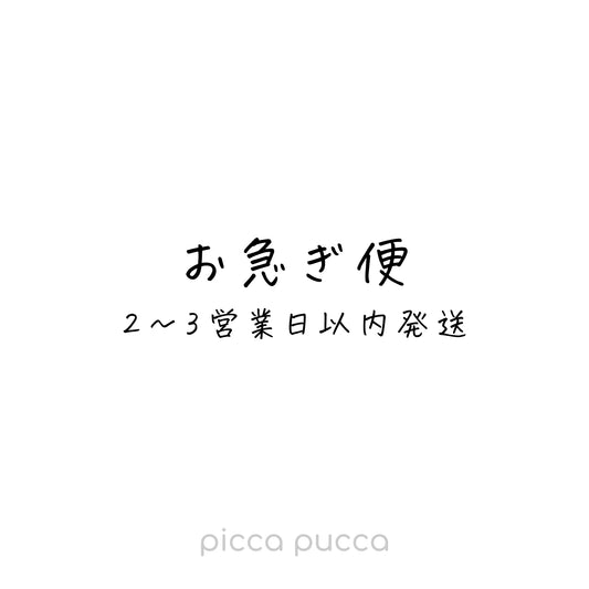 お急ぎ便（2～3営業日以内発送）
